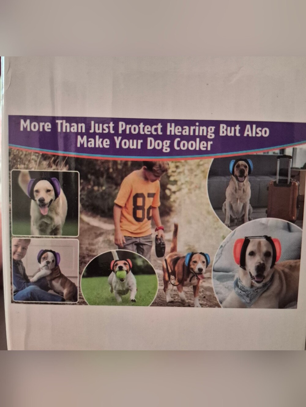 Noise-Reducing Pet Headphones